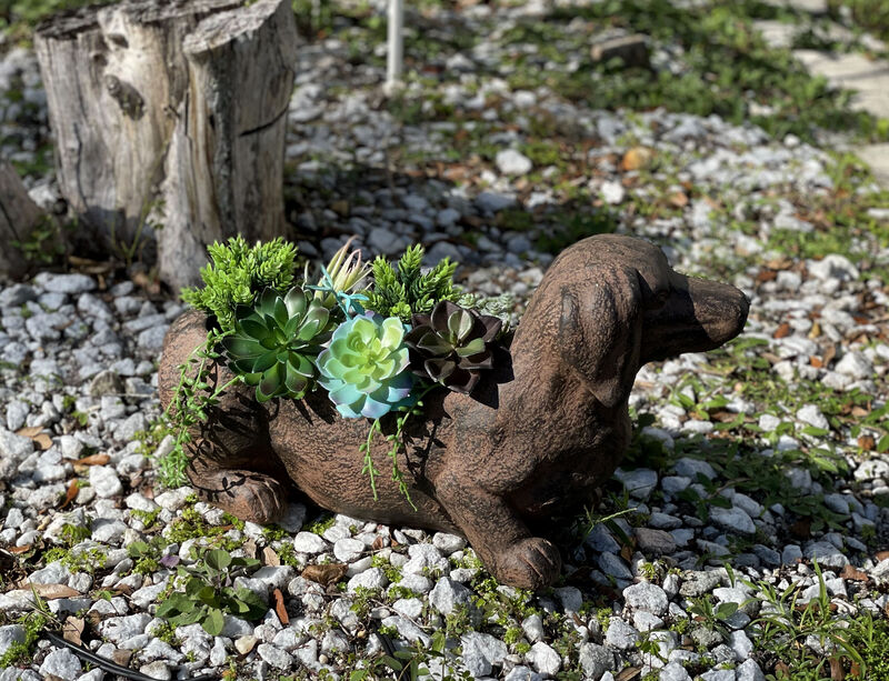 Resin Distressed Rustic Brown Finish Dachshund Dog Indoor Outdoor Planter Pot image number 5
