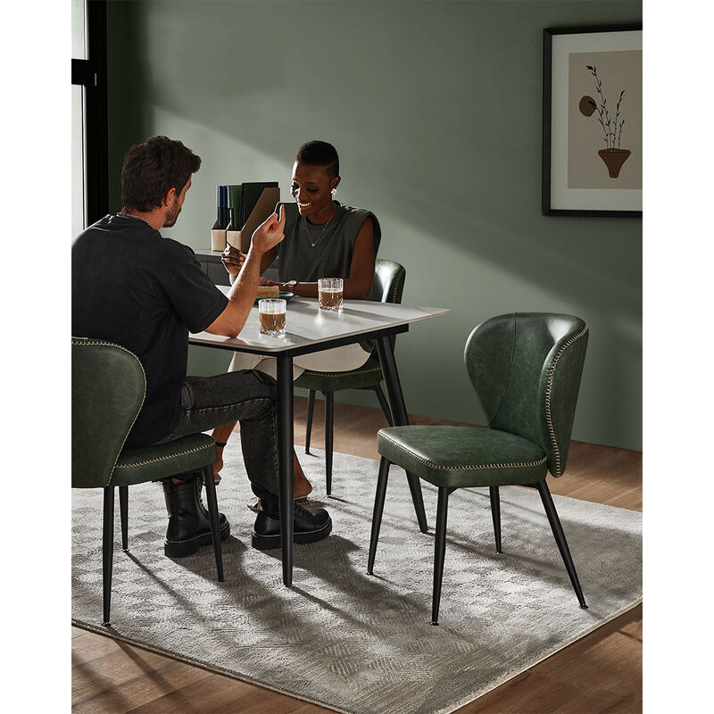 Dining Chairs Set of 2