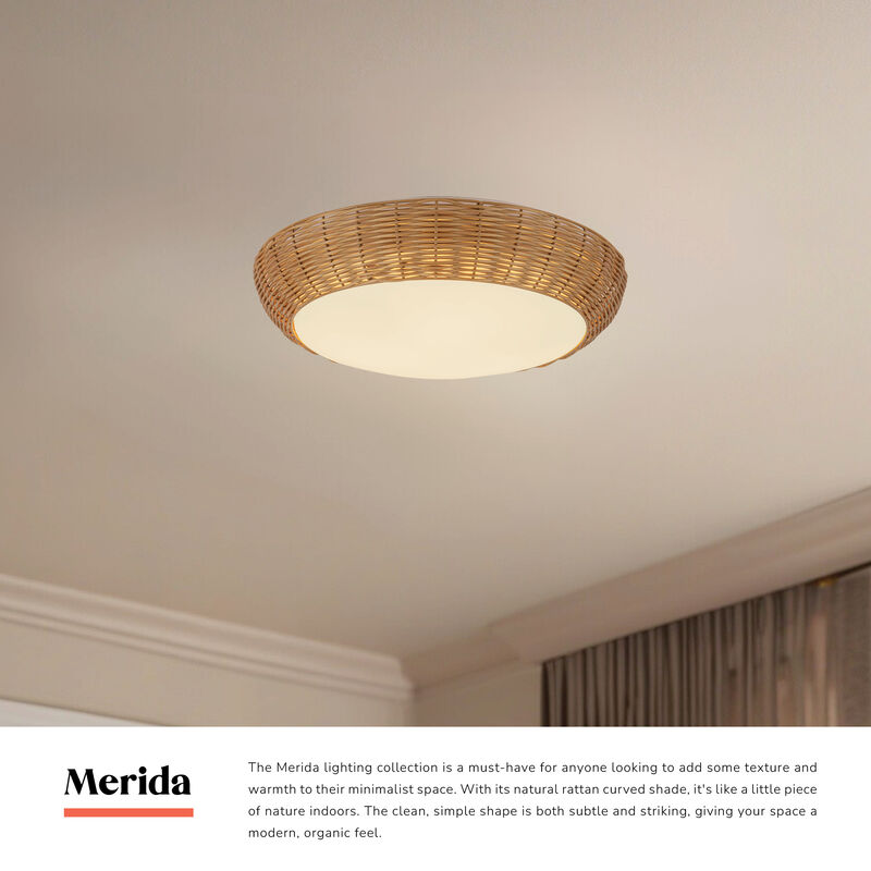 Merida 17 in Socket Flush Mount image number 5