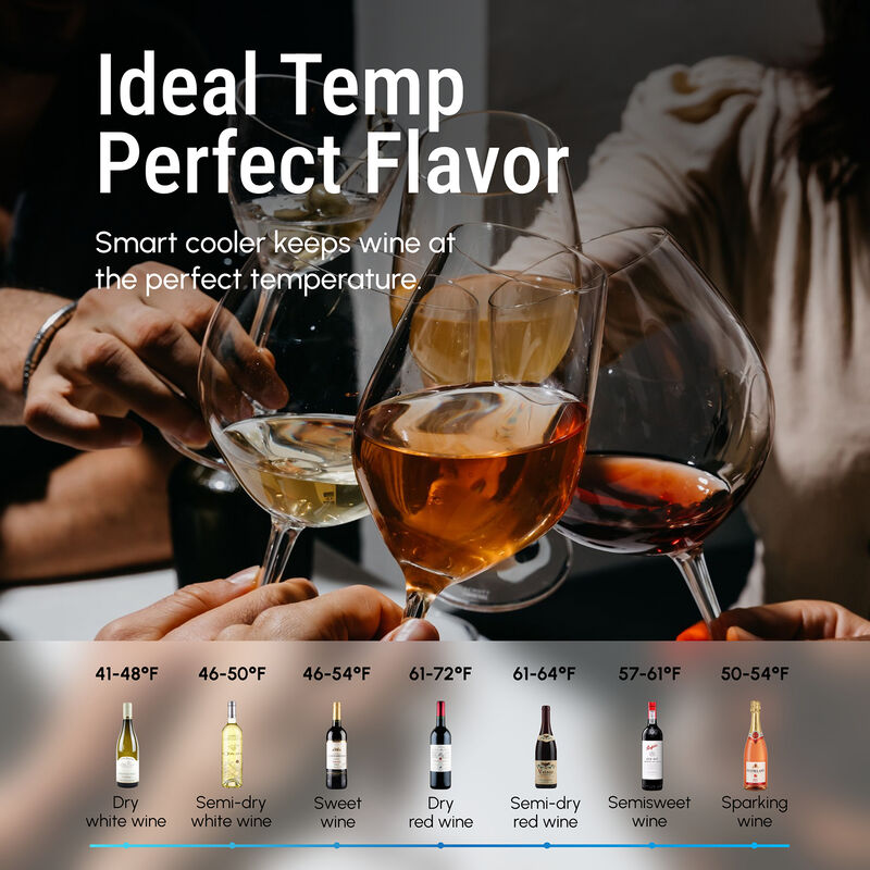 Wine Refrigerator Cooler, 12 Bottle Small Wine Fridge, Mini Freestanding Wine Cellars for Home, Office image number 9