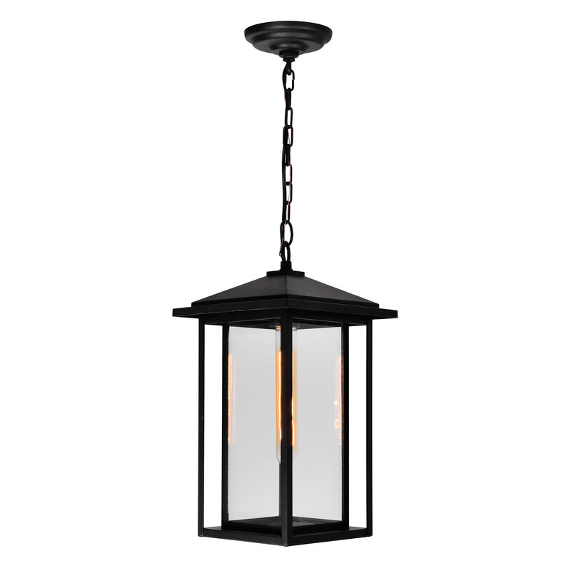 Crawford 1 Light Black Outdoor Hanging Light