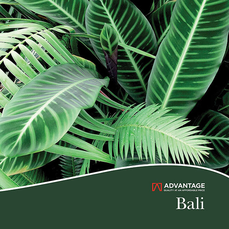 Hali Silver Fronds Wallpaper image number 2