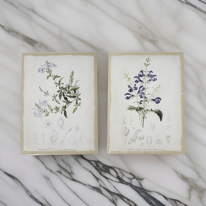 24 x 32 Set of 2 Framed Wall Art Prints, Floral, Modern White and Black