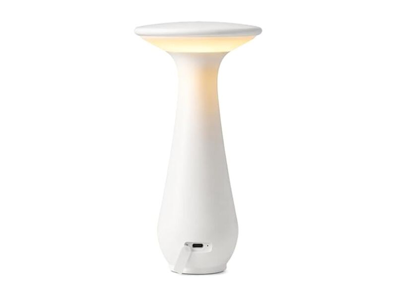 Rechargeable Flower Table Lamp For Bedroom Office Dining Room image number 0
