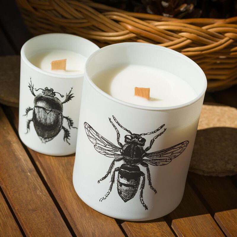 Candle in Jar INSECT 75gr CALABRONE 2.36 diam. x 2.95 in image number 2
