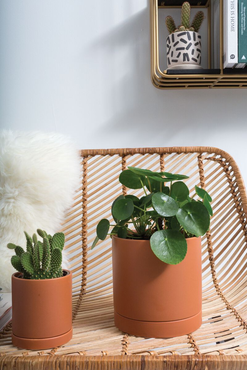 Katy Indoor Ceramic Pot Ochre image number 2