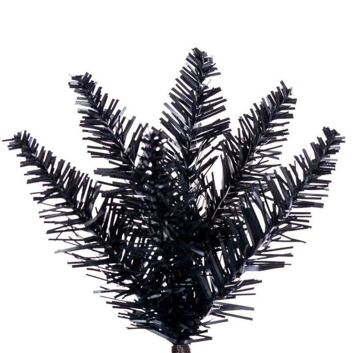 Black Pencil Tree 712Tips