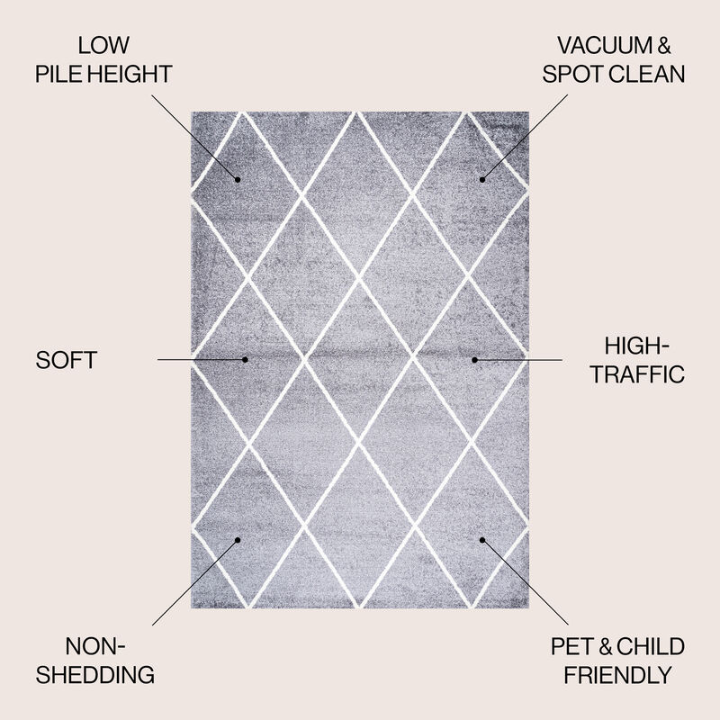 Cole Minimalist Diamond Trellis Area Rug