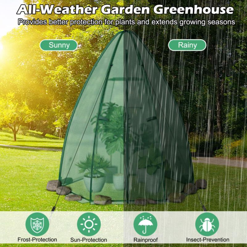 Hivvago 5.5 x 5.5 x 6 Feet Portable Mini Greenhouse with All-Weather PE Cover
