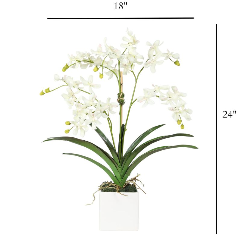 Orchid Arrangement in Vase - 24" image number 3