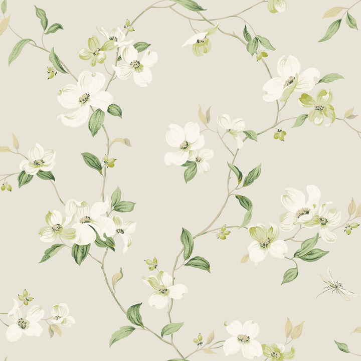 Dogwood Light Grey Wallpaper