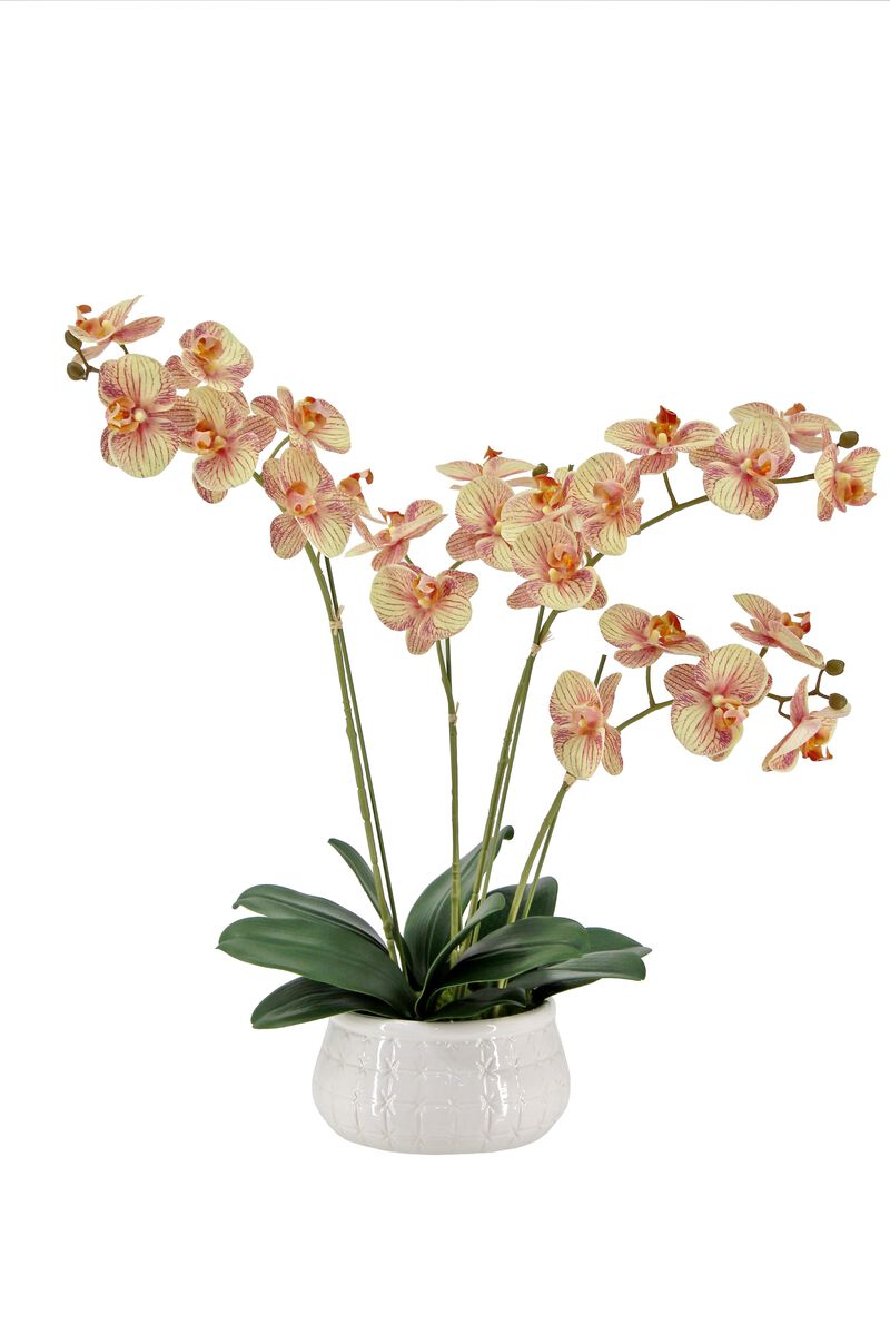Artificial 4-Stem Phalaenopsis Orange Orchid image number 0