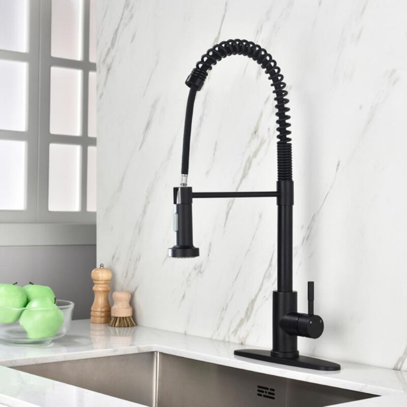 Kitchen Faucet with Pull-Out Spray Flexible Faucet for Easy Cleaning and Rinsing
