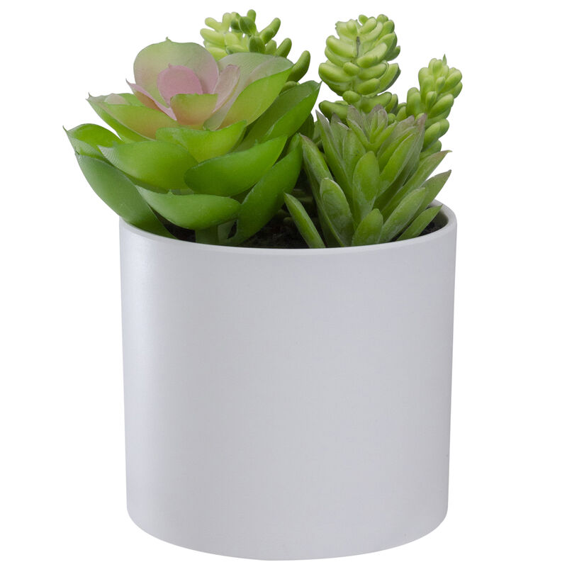 5.5” Mixed Artificial Succulent Arrangement in a White Pot image number 1