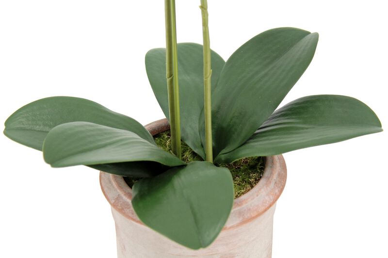 Artificial 2-Stem Phalaenopsis Pink Orchid image number 2