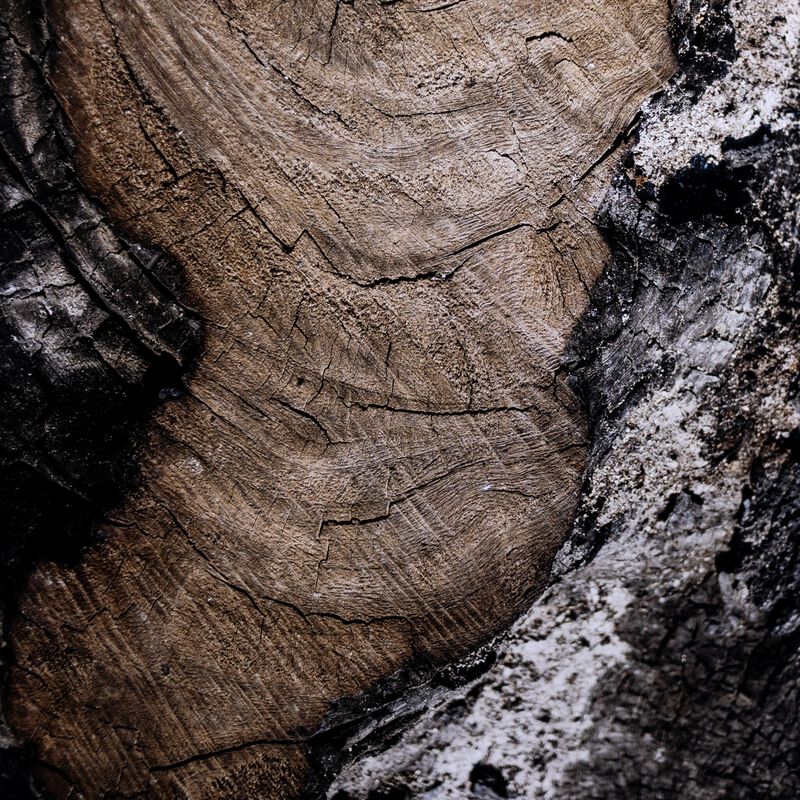 Char VI by FH Art Studio