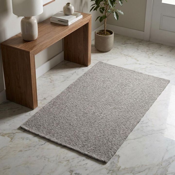 HomeRoots Modern Shaggy Soft Indoor Area Rug