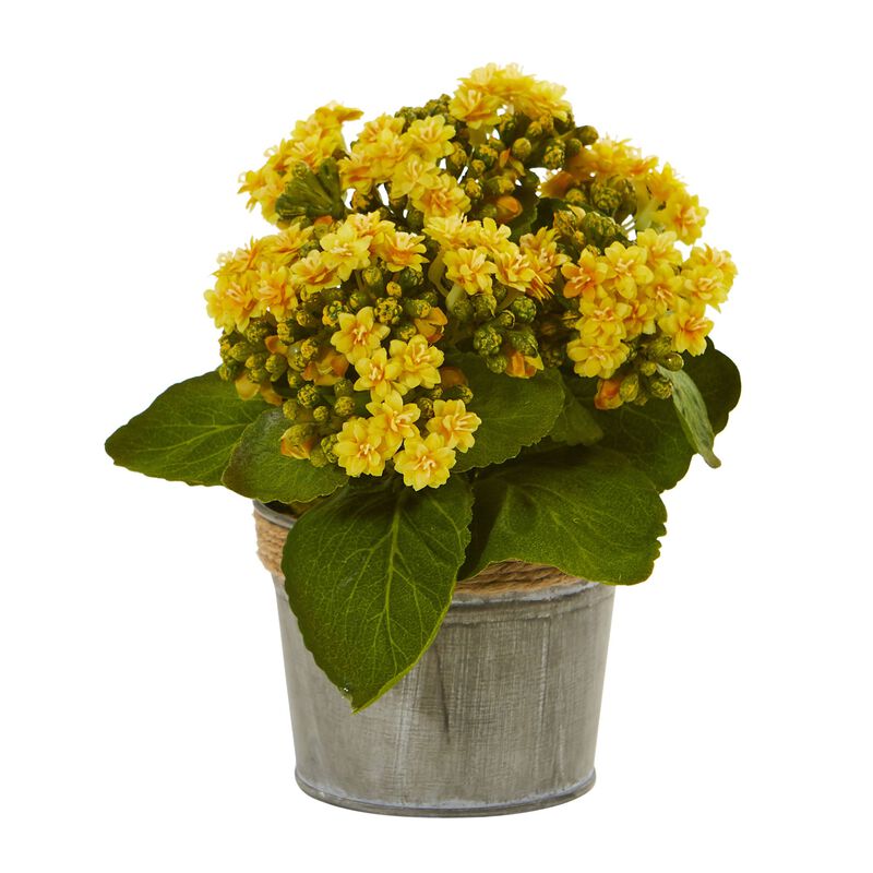 Hivvago Kalanchoe Artificial Arrangements (Set of 3)