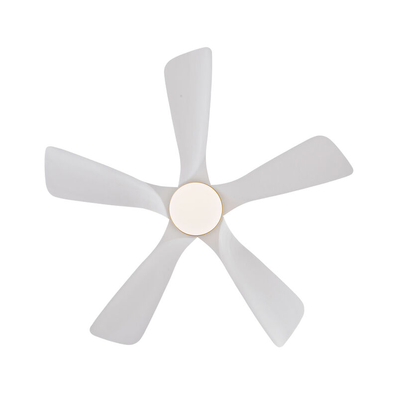 ELEMENT ACE Modern Indoor Ceiling Fan with Dimmable LED Light and Remote Control featuring Energy-Efficient DC Motor image number 5