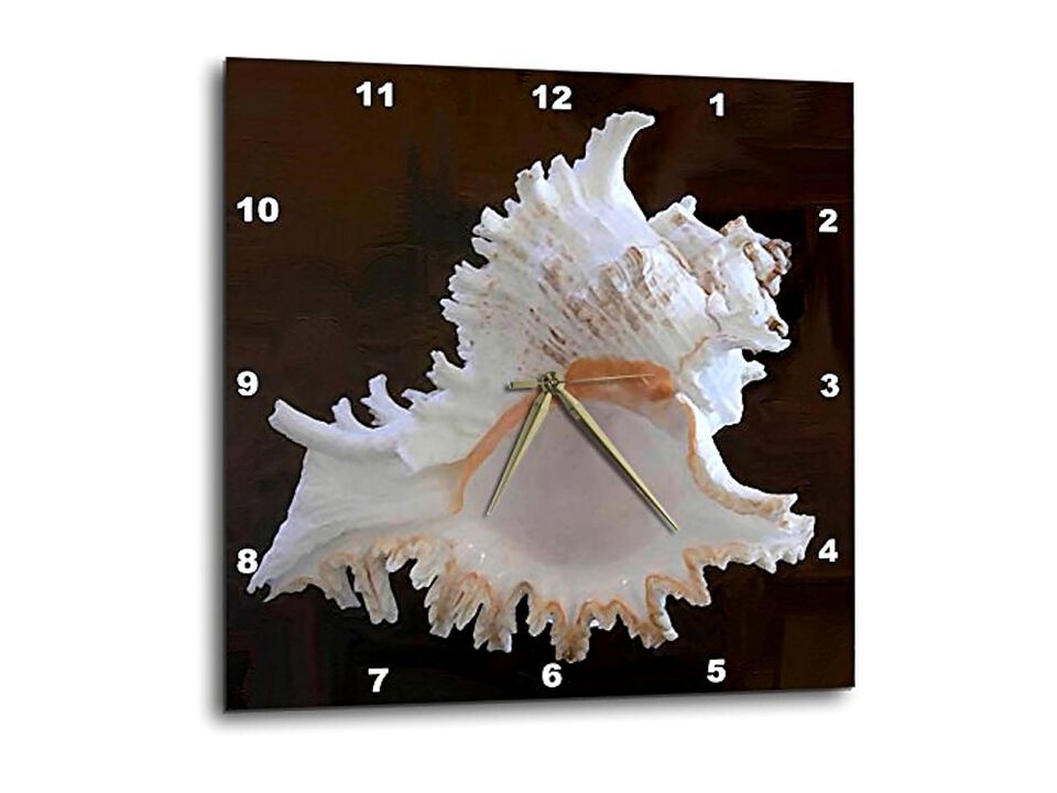 Sea Shell Wall Clock 15 Inch Home Decor