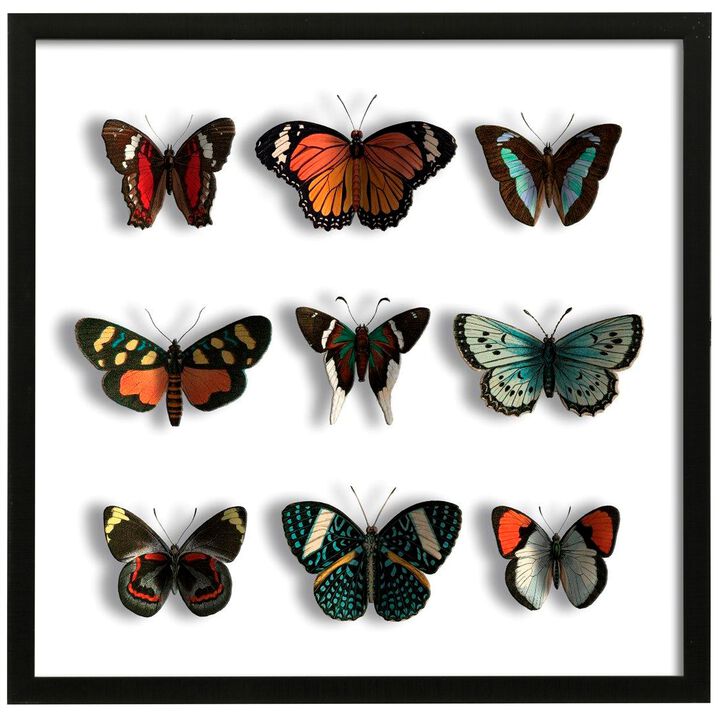 Floating Butterflies Framed Print