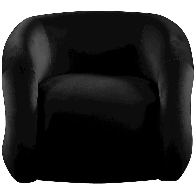 Meridian Furniture Roxbury Black Velvet Accent Chair
