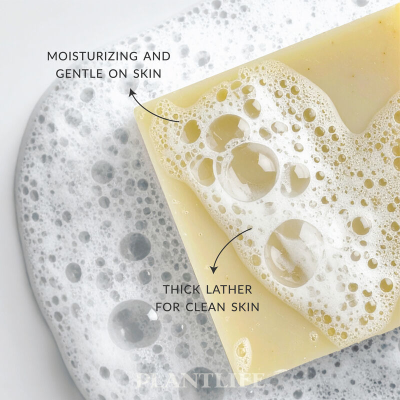 Plantlife Bar Soap - Citrus Burst 6 Pack image number 3