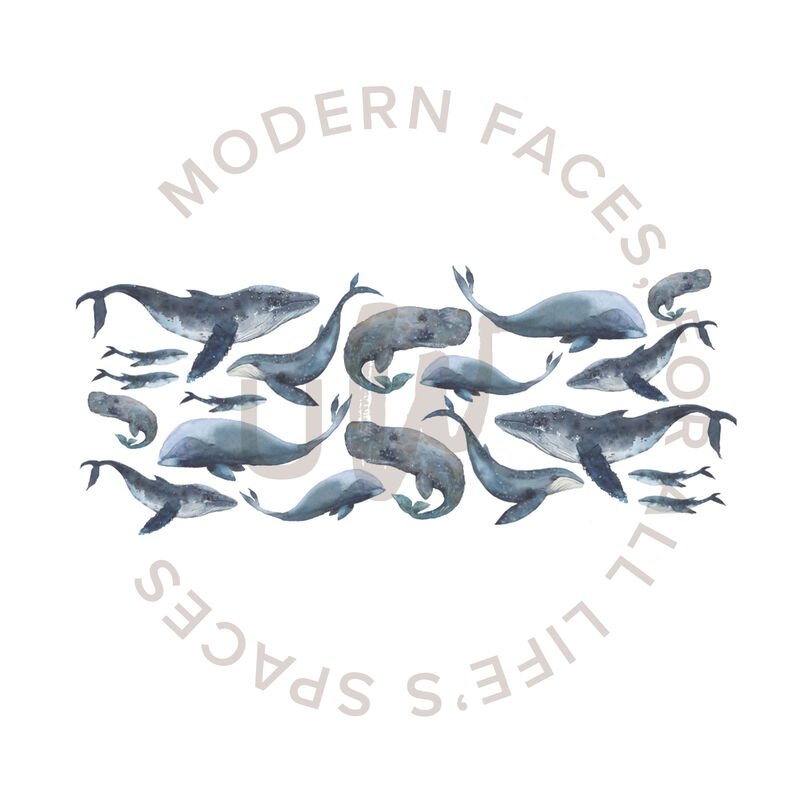 Whale Wall Decals