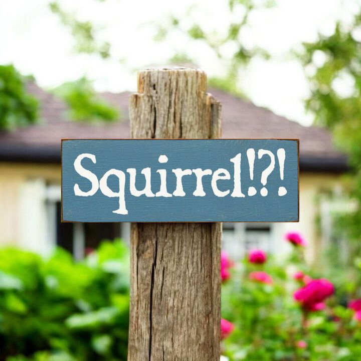 Squirrel Wood Sign Rustic Farmhouse Wall Decor for Living Room, Cabin or Entryway