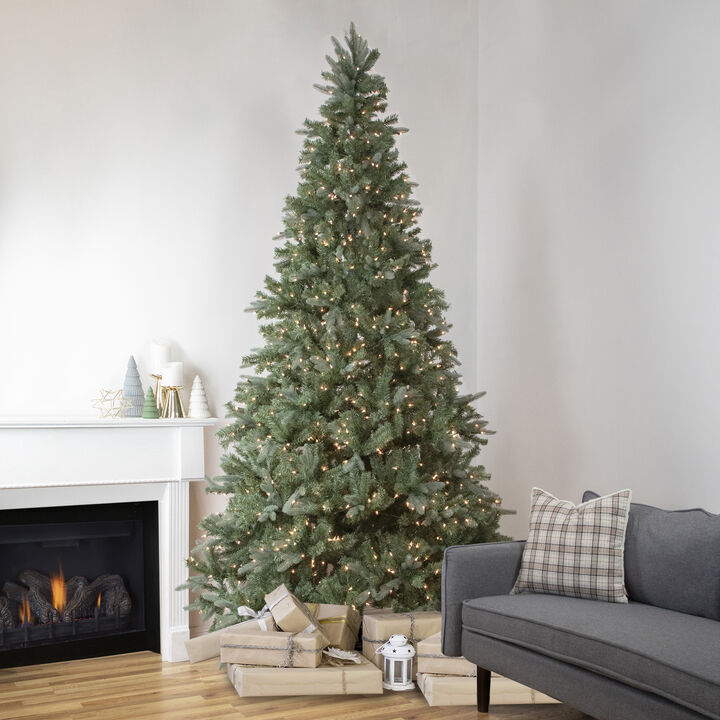 9' Pre-Lit Granville Fraser Fir Artificial Christmas Tree  Clear Lights