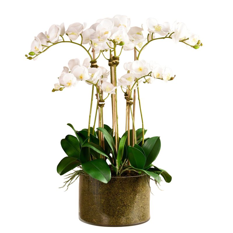 Large Faux Orchid Arrangement In Glass Vase - 33”
