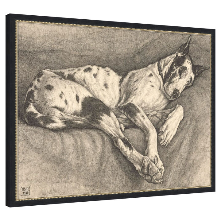 Sleeping Hound, 1930 by Bertha Van hasselt Framed Canvas Wall Art