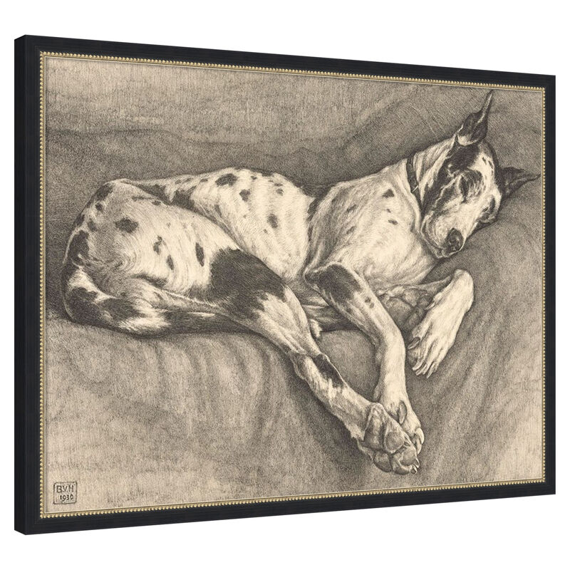 Sleeping Hound, 1930 by Bertha Van hasselt Framed Canvas Wall Art image number 0