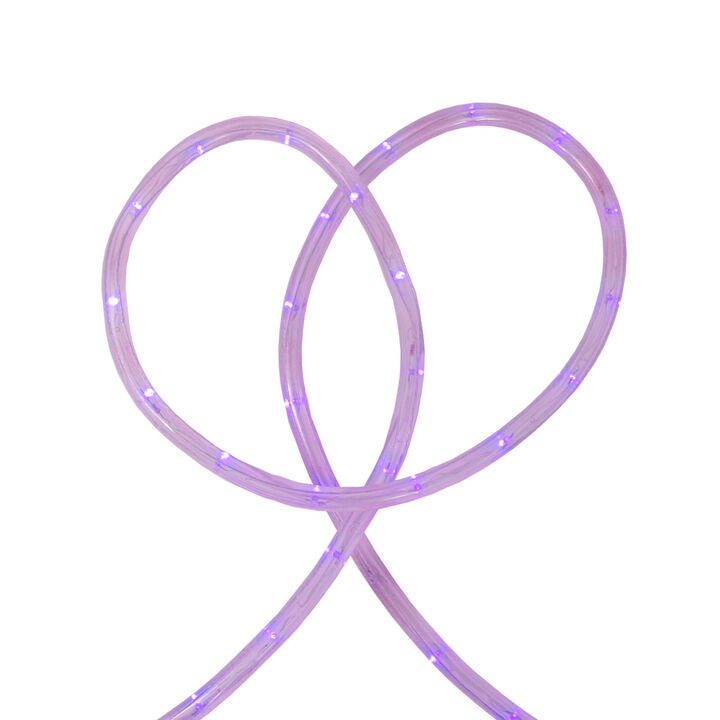 Purple Commercial Grade LED Outdoor Christmas Rope Lights on a Spool - 24 ft