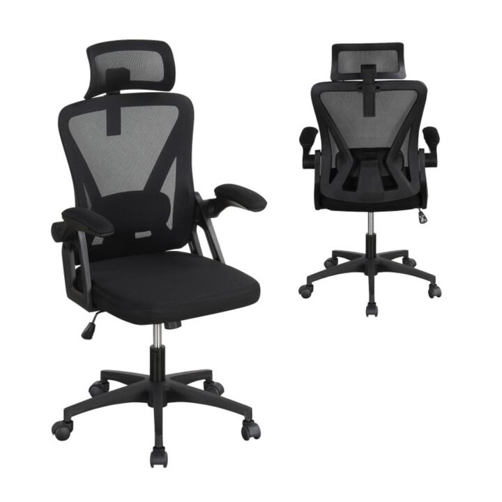 Hivvago Ergonomic Mesh Office Chair with Adjustable Lumbar Support and Flip-up Armrests