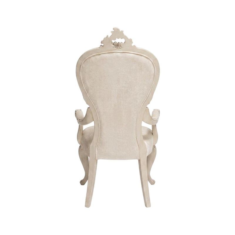 Starlight Canyon Home Champagne Velvet Dining Arm Chairs Set of 2 with Rubberwood Frame image number 3