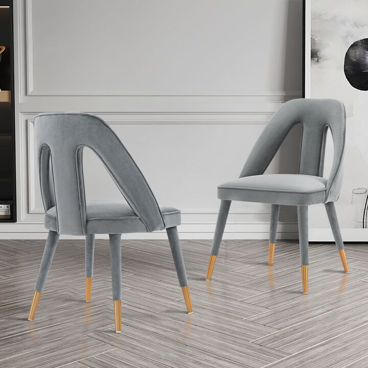 Neda Gray Dining Chair (Set of 2)