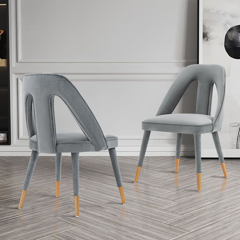 Neda Gray Dining Chair (Set of 2)