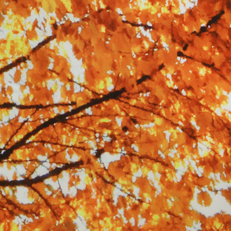 Habitat Photo Real Autumn Sensation Colorful Fall Tree Light Filtering Pole Top Curtain Panel Pair Each 38" x 84" Multicolor