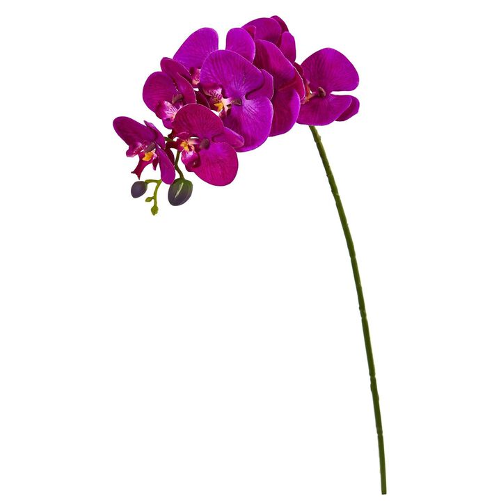 Nearly Natural 28-in Phalaenopsis Orchid Artificial Flower (Set of 6)