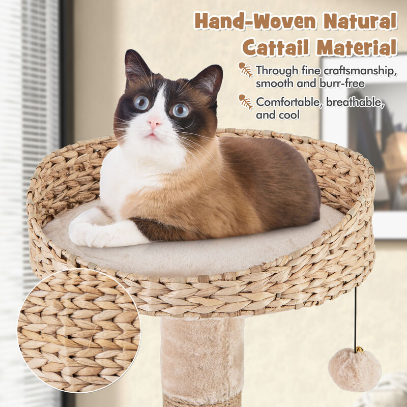 59" Cat Tree for Indoor Cats with Perch, Soft Hammock & Scratching Posts