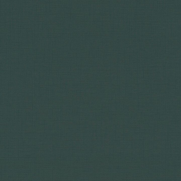 Havana 2 Plain Texture Green Wallpaper HV41063