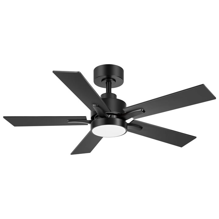 Breezary 42" LED Ceiling Fan with Light, 5 Blades, DC Motor, 6 Speeds, Remote Control