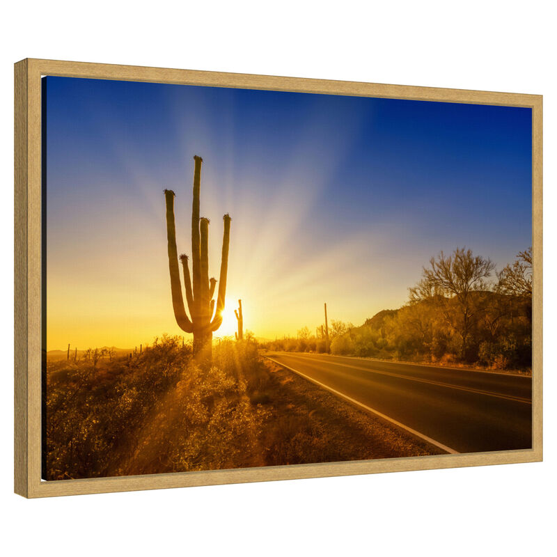 SAGUARO NATIONAL PARK Setting Sun by Melanie Viola Framed Canvas Wall Art