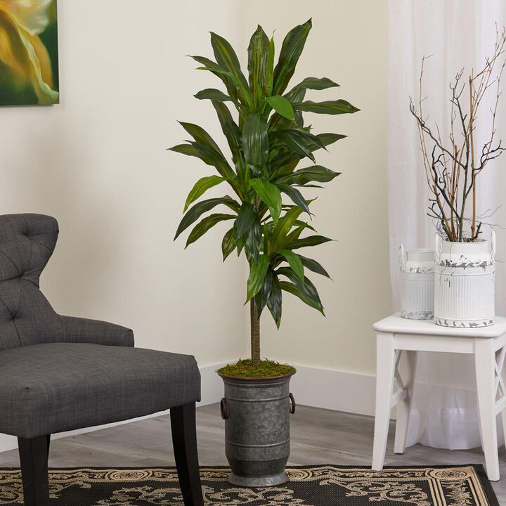 Nearly Natural 4-in Dracaena Plant in Planter (Real Touch)