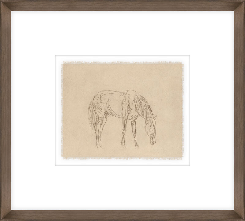 Equine Impression I