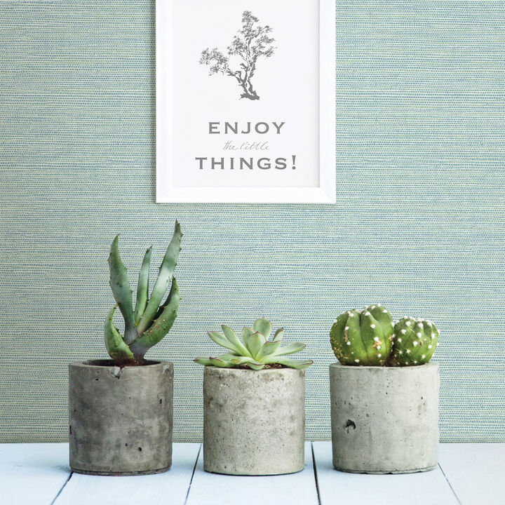 Agave Mint Faux Grasscloth Wallpaper (Set of 2)
