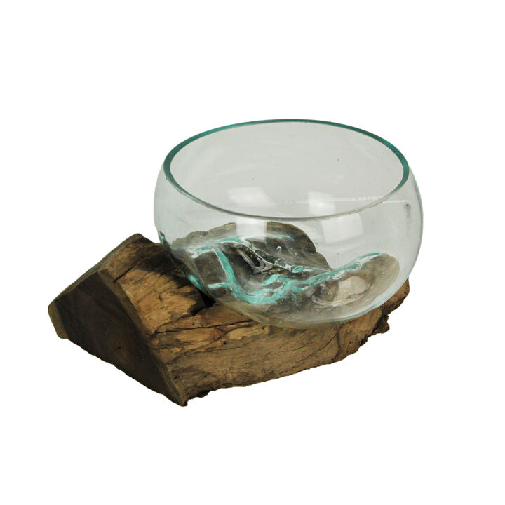 Molten Glass on Teak Driftwood Sculptural Bowl, Vase, Terrarium