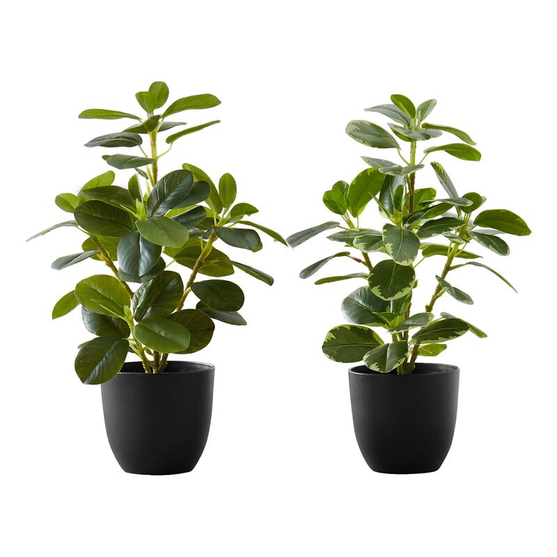 Monarch Specialties I 9585 - Artificial Plant, 14" Tall, Ficus, Indoor, Faux, Fake, Table, Greenery, Potted, Set Of 2, Decorative, Green Leaves, Black Pots image number 0
