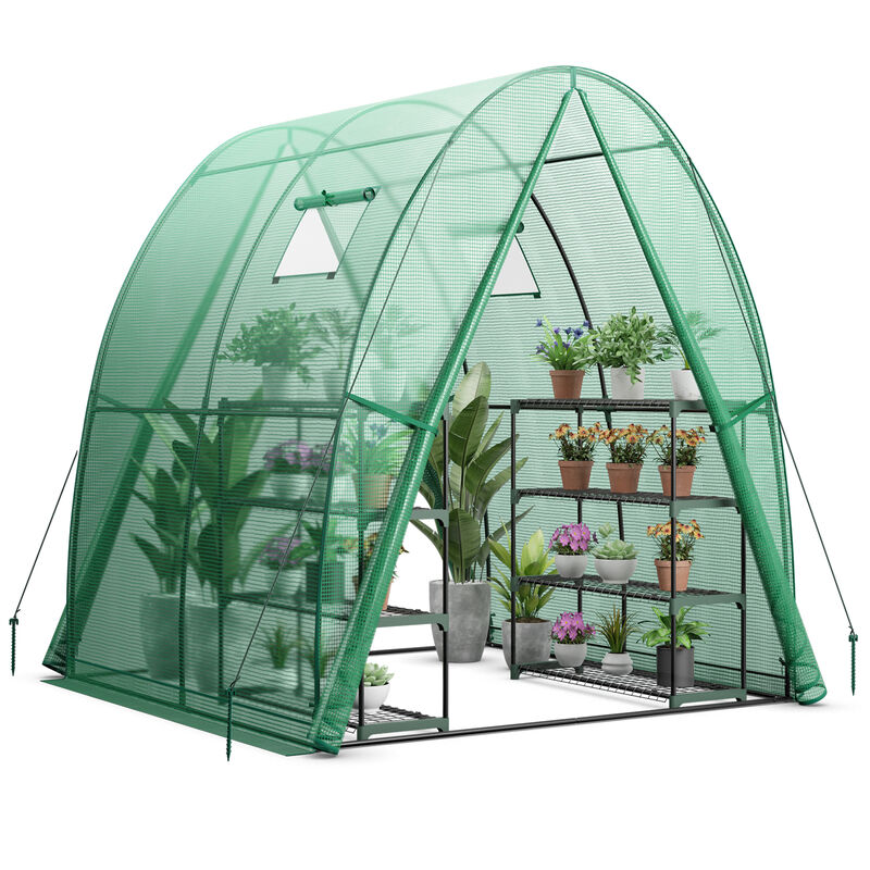 Outdoor Wall-in Tunnel Greenhouse